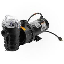 Pentair Dynamo Pump 1 HP